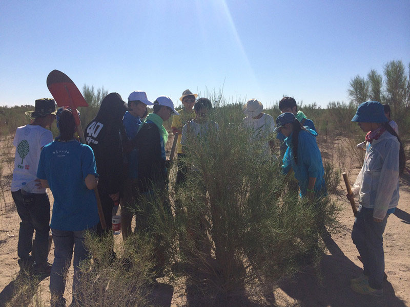 ������Ҫ��һ���ļ��ɺͽ�(j��ng)�(y��n)��ͬ�W(xu��)���_ʼ������һƬ�����ַ��ز����^�m(x��)�����[�ص�����