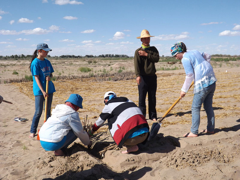 �@�N1.5��Ҋ�������ݸ�������ɳЧ����������^4��5���͕��L(f��ng)�g��������Ҫ�����a(b��)����