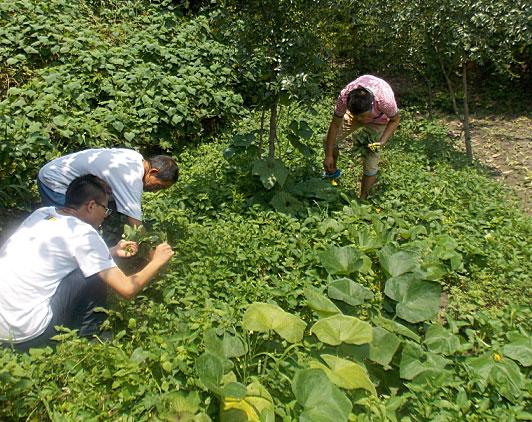 �ڶ�����꠆T���_ʼ�������B(t��i)�r(n��ng)���w��r(n��ng)��������������ժ����