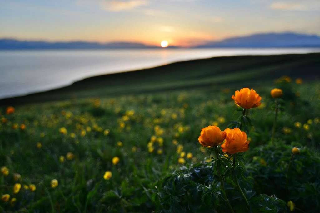 ��������l(xi��ng)�ĸ����