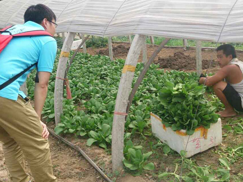 ���`꠆T�c��?sh��)��r��e�O��ͨ������������}���˽��߲˴�������P��r��