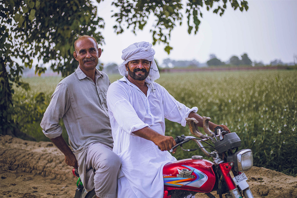 芝麻種植基地給當(dāng)?shù)厝藥?lái)更多就業(yè)機(jī)會(huì)。（人民網(wǎng)記者 薛丹攝）