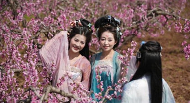 西安長安：踏春賞花正當(dāng)時
