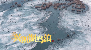 春融興凱湖 萬鳥逐浪來